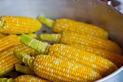 食材発注管理